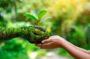 Transmission de la Terre à l'Homme